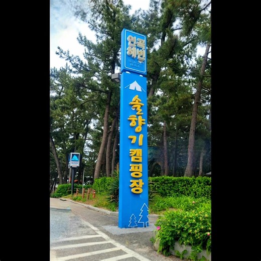 #황지의 CAMPING생활#솔향기캠핑장 3(32편)#강릉남대천#강릉중앙시장#힐맨벙커돔#연곡해변