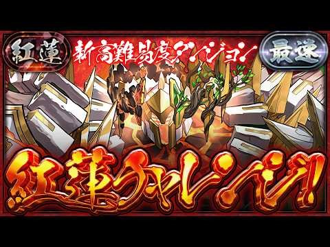 【パズドラ生放送】新ギミックが来る！！新称号「紅蓮」チャレンジ！！！！