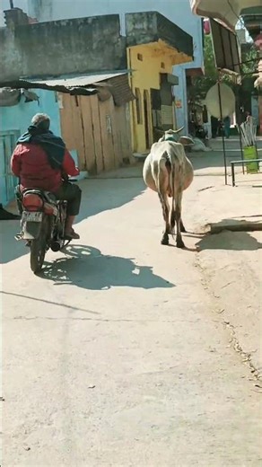 MOTE UNCLE KE BHAJAN SE GADI TUT GAI #minivlog