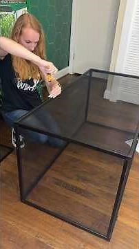 Building a chameleon enclosure