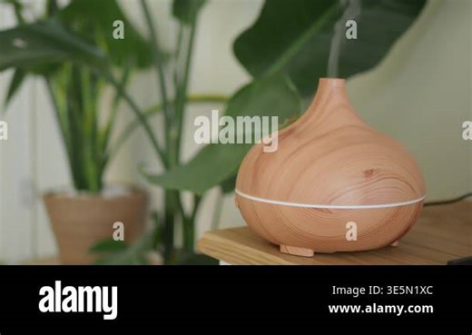 A wooden essential oil diffuser sits on a table near green plants Stock Video Footage - Alamy