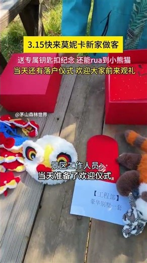 Discover the Enchanting Maoshan Forest World: A Red Panda Adventure