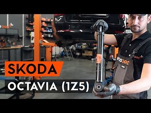 Cum se înlocuiește amortizoare din spate OCTAVIA (1Z5) [TUTORIAL AUTODOC]