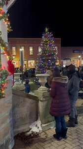 11K views · 171 reactions | Despite the chilly temperatures, many people attended the DABA Home for the Holidays Christmas tree lighting ceremony and the parade which followed. | Village of Dundee Michigan | Facebook