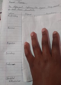 Personal HygieneThe different Systems, the organs they consis... | Filo