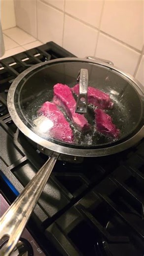 The chiweenie waits for his sirloin