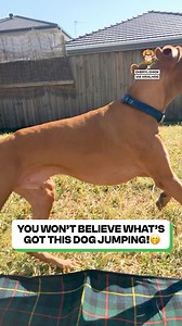 15K views · 175 reactions | So close but so far  | Fluffy Animals | Facebook