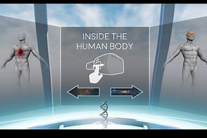 Inside the Human Body
