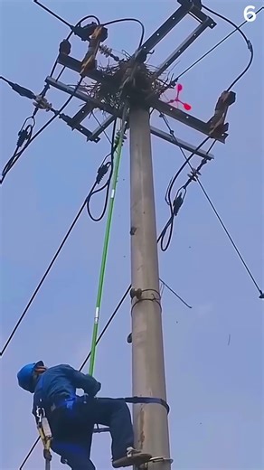 Amazing Electric Pole Cleaning Using Clever Manual Tricks ⚡✨ #shorts