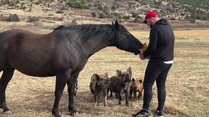 Just another day on the mountain - stopping on the way home greeting the neighbors. | Ricky Tims