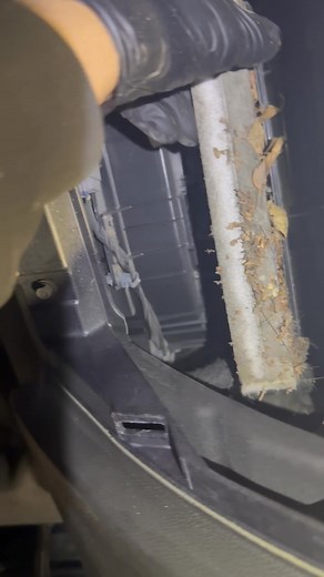 Do you check your cabin air filter at an oil change service? We do. | Northern Legacy Auto