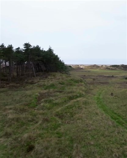 Cookie Jar Golf on Reels