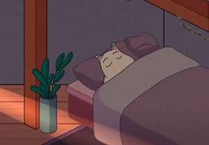 Ray Of Light - Escape Fan