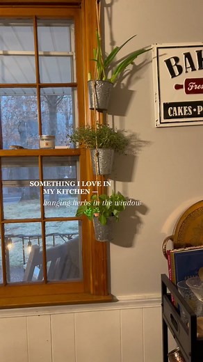 Indoor Herb Garden Inspiration for Spring