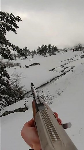 Tir d'un troupeau de sanglier dans la neige #hunting #chasse #wildboar #cinghiale #jabali #battue