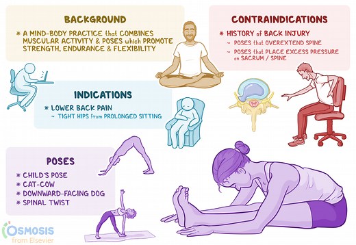 Yoga for Back Pain: What It Is, Poses and Positions, Benefits | Osmosis