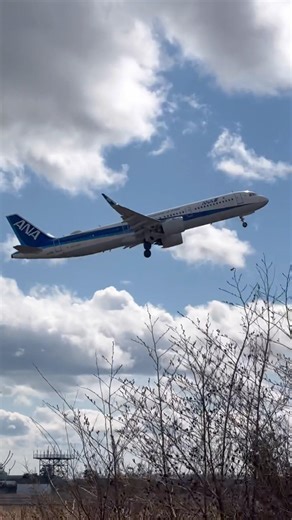 【沖縄行き🌺】ANA A321neo 離陸🛫#仙台空港 #a321 #ana #aviation #airplane #飛行機 #fishair