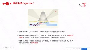 基于BIAcore的蛋白-蛋白相互作用分析