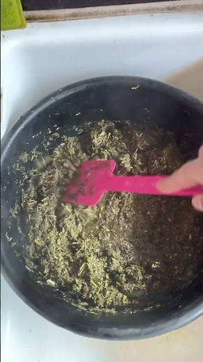 What do you feed your horse? #horse #horsefeed #horsefeeding #equestriansport #equestrianjourney