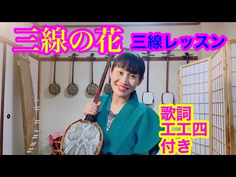 【三線の花】三線レッスン動画(歌詞・工工四付き)初心者の方にも
