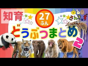 【子供向け 動物 知育アニメ】動物園のどうぶつたちの知育動画まとめpart2★【27分連続再生】ぞうさん パンダ キリン ライオン 人気の動物が大集合！ 赤ちゃん 幼児が喜ぶアニメ