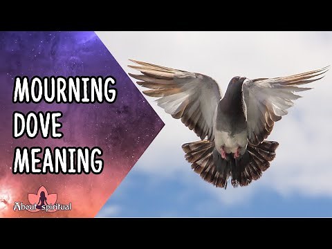 Mourning Dove Meaning