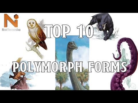Top 10 D&D 5e Polymorph Forms | Nerd Immersion