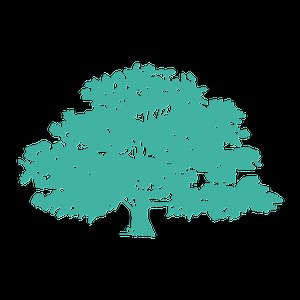 General Anaesthetic | Avenue Dental | Sunshine Coast Dentists