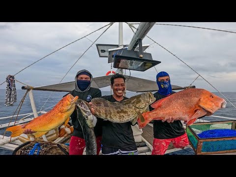 Exploring the hidden wonders of coral reefs