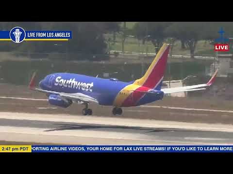 JET PACK MAN Spotted Again!