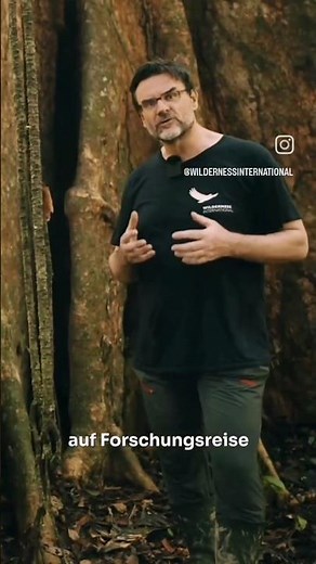 Wie schützt man den Regenwald? 🤔