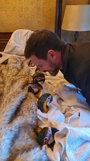 Albino Macaw's First Bath: A Pet Story