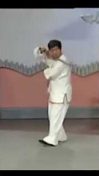 BaGua Survey of the Sun Style
