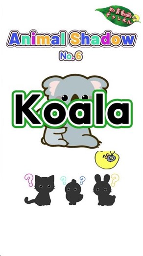 動物だれかな？【英語】who are you?【Animal Syadou】6