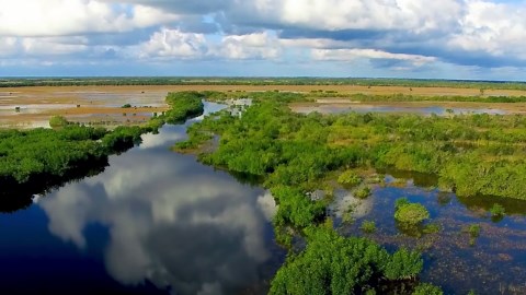 The Everglades from Above: Lush Landscapes and Waterways