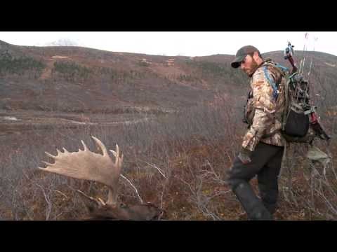 Dropped: Project Yukon 390 Yard Moose Kill with Vortek Ultralight LDR