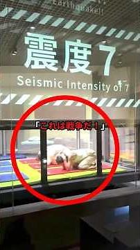 The reason why foreigners who experienced Japan's "disaster prevention drill" screamed at its "ex...