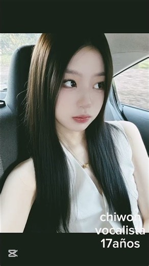 presentación de las miembros de pretty heart