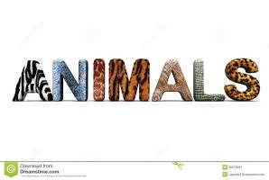 what are the types of animals ?