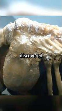 Face Parasite Leaves—Why Does Creature Burst From His Belly? #SciFiHorror #moviereview #shorts