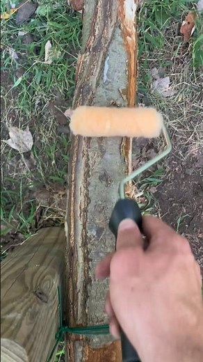 I Made A Budget Horizontal Rub Post!! Part 2! #hunting #nature #outdoors #budget #whitetaildeer