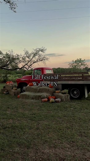 Waller, TX Fall Festival: A Glimpse of Community Fun