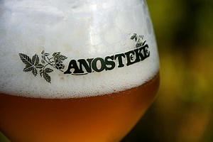 12 Reasons to Visit Lille, France