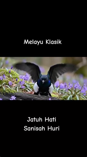 #lagusekadarhiburan #melayukkasik #jatuhhati #segalapujibagiallah #pemandanganalam