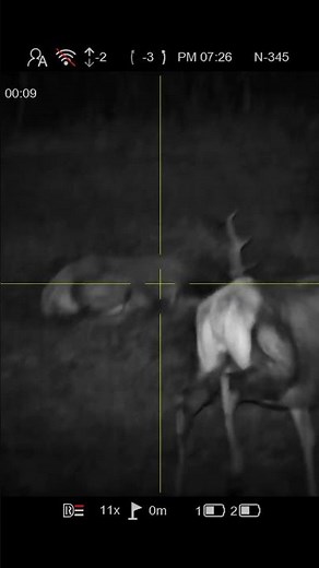 PARD NIGHTSTALKER 4K EX HUNTING.