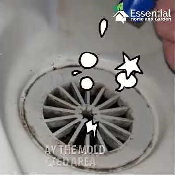How To Remove Mold From The Shower - Quickly and Easily