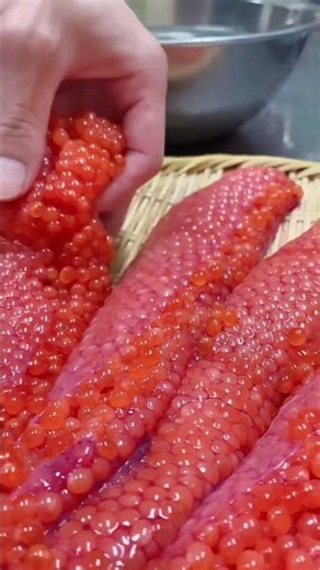 Artificial Breeding Of Salmon #facts #animalfacts #wholesome #salmon #fish #fishegg #animals