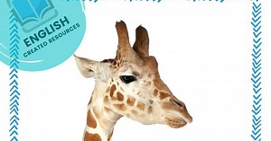 Reading and Writing Worksheets ( Animals ) - English Created Resources