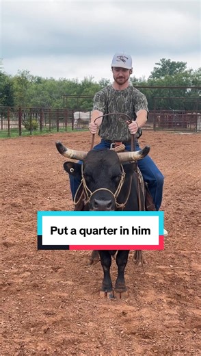 That mule’s hobbled son… that’s why his legs won’t work 🤣 | mule