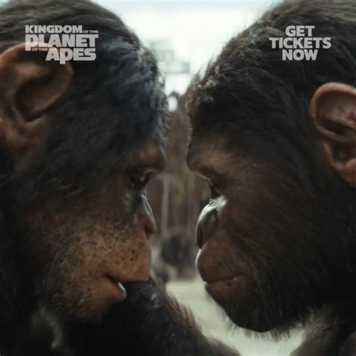 Step into a new era of evolution and survival. 'Kingdom of the Planet of the Apes' is now showing at Odeon Cineplex. Book your tickets today and witness the rise of a new kingdom! #odeoncineplex #KingdomOfThePlanetOfTheApes | Odeon Cineplex